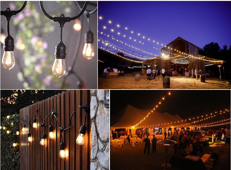 trang trí đèn led dây sân vườn