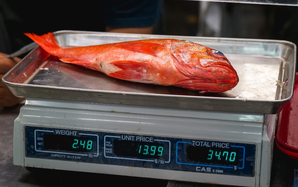 cân điện tử có chính xác không