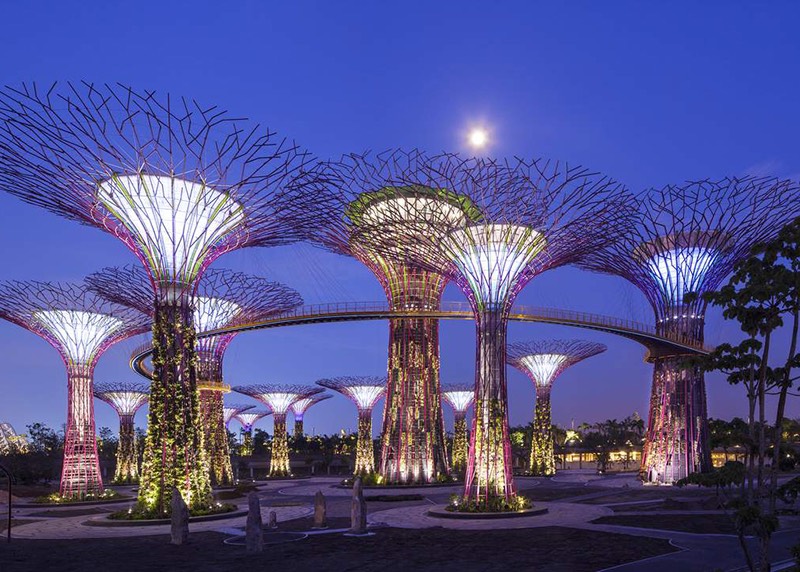 Đèn LED mô phỏng siêu cây nghệ thuật