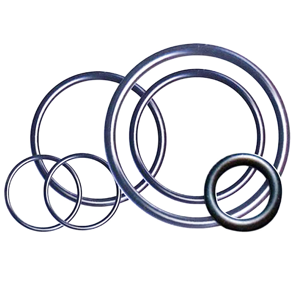 Pipe Fitting Gaskets