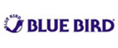 BLUE BIRD