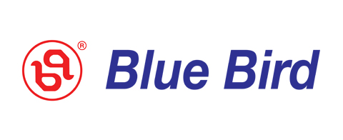 BlueBird BlueBird