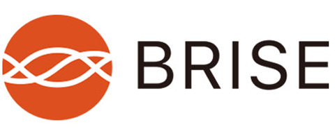 Brise Brise