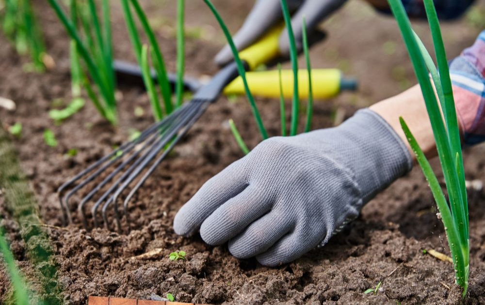 Găng tay vải bảo hộ: Phân loại, ưu nhược điểm và cách chọn mua