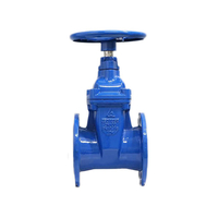 Shin Yi RVHX-0065-10-D2B Blue Non-return Stem Gate Valve