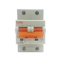 Aptomat loại 2 cực dòng điện 100A LiOA MCB2100/4,5