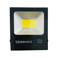 Đèn pha led IP66 100W ESNCO ánh sáng vàng