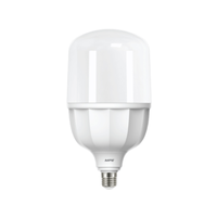 Đèn Led Bulb 30W MPE LBD2-30T ánh sáng trắng