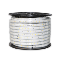 Đèn LED dây RẠNG ĐÔNG 100/7w ánh sáng trắng