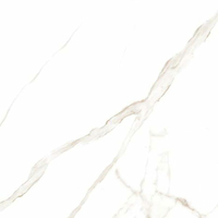 Gạch Vân Đá, Mờ, CASALGRANDE, STATUARIO ORO 59*59
