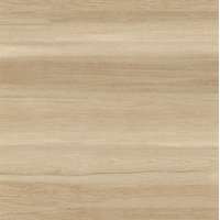 Gạch vân gỗ Nhám LVF6012 60x60