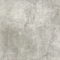 Gạch vân đá Nhám LVF6670 60X60