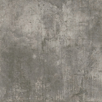 Gạch vân đá Nhám LVF6671 60X60