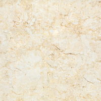 Gạch vân đá Bóng YK651 60x60
