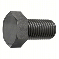 Standard Hex Head Cap Screws Metric M8x1.25x10mm Not Graded Stainless Steel Plain Fully Threaded