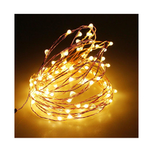 Bộ dây đèn LED đom đóm 100 bóng dài 10m RY-11