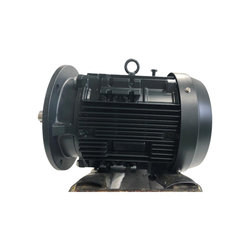 Mô tơ điện 3 pha 4 cực 7.5kW Toshiba Y754SDMH7JS