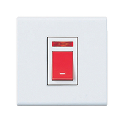 2-pole D switch set with indicator light BS standard 250VAC - 45A Panasonic WNBP5428690FK
