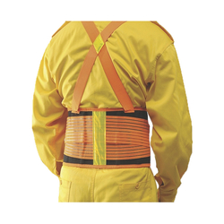 Đai bảo hộ sống lưng Proguard LSB