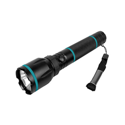 Total TFL013AAA1 Flashlight