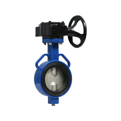 Van bướm tay quay lá inox Shin Yi WBGS-0400-10-D2B màu xanh