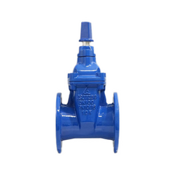 Gate valve with non-returning stem and cap Shin Yi RVCX-1000-10-D2B blue