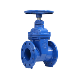 Shin Yi RVHX-0700-10-D2B Blue Non-return Stem Gate Valve