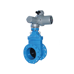 Van cổng động cơ điện Shin Yi EMD15-0125-1K-D2B màu xanh