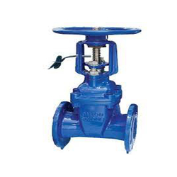 Van cổng tín hiệu Shin Yi RRSX-0050-10-D2R màu xanh