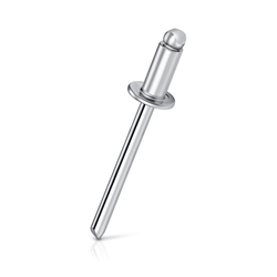 Patta Rivet Box 4x10mm (1000 Pieces)