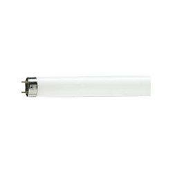 Fluorescent lamp 1.2m Dien Quang MaxX 802 FL T8 32W Daylight Triphosphor