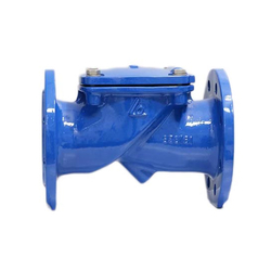 Shin Yi RDCV-0100-10-D2B blue flap check valve