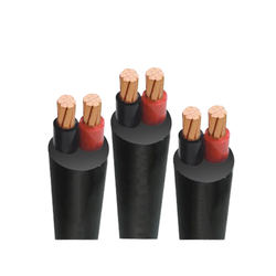 Dây cáp điện Cadivi CVV2x4.0