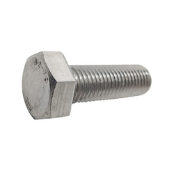 Bulong Inox 304 M12x40