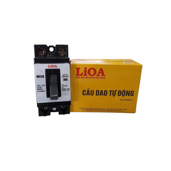 2P surface mounted circuit breaker 30A LiOA MCCB2P2E/30A