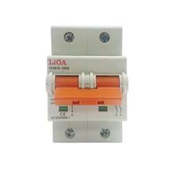 2-pole circuit breaker 20A LiOA MCB2020/10