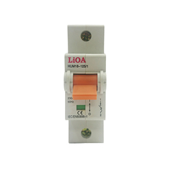 Aptomat loại 1 cực dòng điện 100A LiOA MCB1100/6