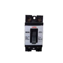 2P surface mounted circuit breaker 15A LiOA MCCB2P1E/15A