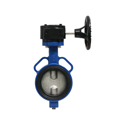 Van bướm tay quay lá inox Shin Yi WBGS-0150-10-D2B màu xanh