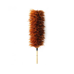 Large feather duster