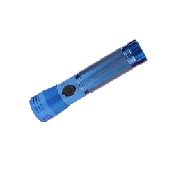 Đèn LED 9 bóng màu xanh lam Everbrite E000062