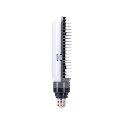 Rang Dong CSD05 30W white light LED street lighting