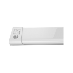 Rang Dong M66 1200/60W white light LED light set