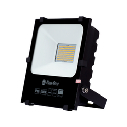 Rang Dong CP06 100W LED floodlight with yellow light