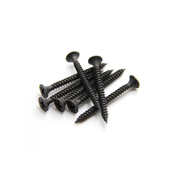 Black plaster screw 1P5