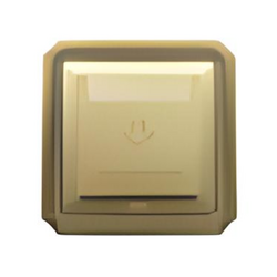 ABE BRONZE B1V-T30A magnetic card switch yellow