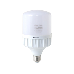 Rang Dong Led Bulb TR100N1/30W E27 yellow light