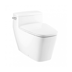 Bồn cầu 1 khối Cotto C101907 (450x745x600mm)