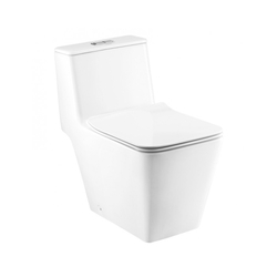 Bồn cầu 1 khối Cotto C10327 (370x710x665mm)