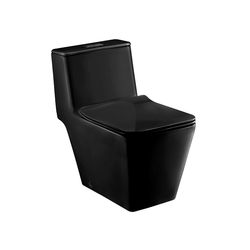 Bồn cầu 1 khối Cotto C1032 MBK màu đen 370x710x665mm